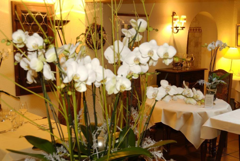 Auberge Saint Laurent Sierentz Eksteriør billede